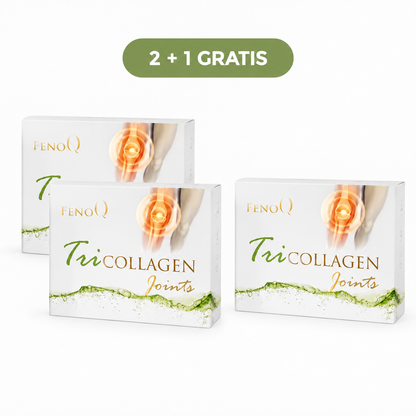 2 + 1 TriCollagen Joints